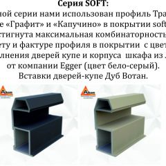 Шкаф-купе 1600 серии SOFT D8+D2+B2+PL4 (2 ящика+F обр.штанга) профиль «Графит» в Камышлове - kamyshlov.mebel24.online | фото 12