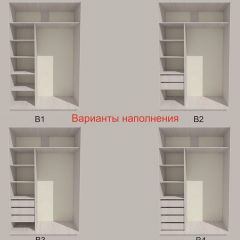 Шкаф-купе 1700 серии SILVER S3+S4+B2+PL4 (2 ящика+F обр.штанга) профиль «Серебро» в Камышлове - kamyshlov.mebel24.online | фото 5