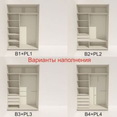 Шкаф-купе 1800 серии SOFT D6+D6+B2+PL3 (2 ящика+2штанги) профиль «Капучино» в Камышлове - kamyshlov.mebel24.online | фото 6