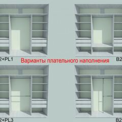 Шкаф-купе 1950 серии SILVER S5+S1+S5 B22+PL2 (по 2 ящика лев/прав+1 штанга+1 полка) профиль «Серебро» в Камышлове - kamyshlov.mebel24.online | фото 5