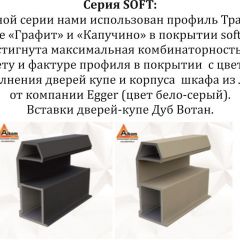 Шкаф-купе 2100 серии SOFT D5+D4+D5+B22+PL3 (по 2 ящика лев/прав+2штанги) профиль «Графит» в Камышлове - kamyshlov.mebel24.online | фото 12