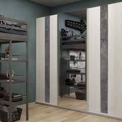 Шкаф-купе 2250 серии SILVER S4+S1+S4 B22+PL4 (по 2 ящика лев/прав+F обр.штанга) профиль «Серебро» в Камышлове - kamyshlov.mebel24.online | фото