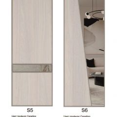 Шкаф-купе 2250 серии SILVER S5+S1+S5 B22+PL2 (по 2 ящика лев/прав+1 штанга+1 полка) профиль «Серебро» в Камышлове - kamyshlov.mebel24.online | фото 13