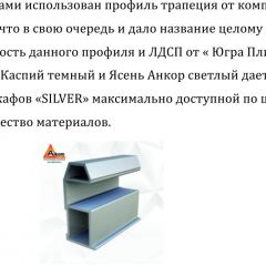 Шкаф-купе 2250 серии SILVER S5+S1+S5 B22+PL2 (по 2 ящика лев/прав+1 штанга+1 полка) профиль «Серебро» в Камышлове - kamyshlov.mebel24.online | фото 16