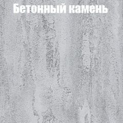 Шкаф-купе Бассо 1.0 (Дуб Крафт серый/Бетонный камень) 2 двери ЛДСП 1 зеркальная вставка в Камышлове - kamyshlov.mebel24.online | фото 3