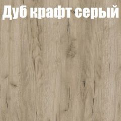 Шкаф-купе Бассо 1.0 (Дуб Крафт серый/Бетонный камень) 2 двери ЛДСП 1 зеркальная вставка в Камышлове - kamyshlov.mebel24.online | фото 4