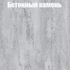 Шкаф-купе Эдем 1.5 (Дуб Крафт серый/Бетонный камень) двери ЛДСП вставка зеркало в Камышлове - kamyshlov.mebel24.online | фото 3