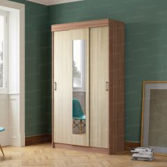 Шкаф-купе Эко (ЭРА) в Камышлове - kamyshlov.mebel24.online | фото 2