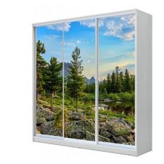 Шкаф-купе ХИТ 22-18-777 (620) в Камышлове - kamyshlov.mebel24.online | фото