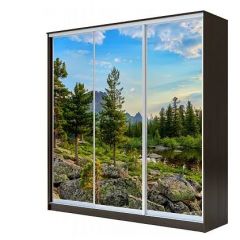 Шкаф-купе ХИТ 23-4-18-777 (420) в Камышлове - kamyshlov.mebel24.online | фото 1