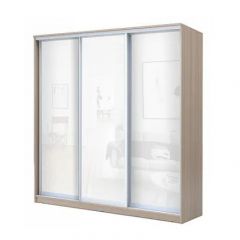 Шкаф-купе ХИТ 24-4-20-888 (420) в Камышлове - kamyshlov.mebel24.online | фото 7