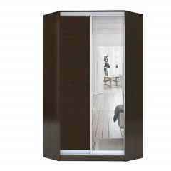 Шкаф-купе ХИТ-У-23-4-15 в Камышлове - kamyshlov.mebel24.online | фото 1