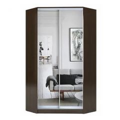 Шкаф-купе ХИТ-У-L-23-64-55 в Камышлове - kamyshlov.mebel24.online | фото 1