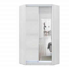 Шкаф-купе ХИТ-У-L-24-64-15 в Камышлове - kamyshlov.mebel24.online | фото