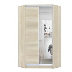 Шкаф-купе ХИТ-У-L-24-64-15 в Камышлове - kamyshlov.mebel24.online | фото 8