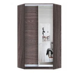 Шкаф-купе ХИТ-У-L-24-64-15 в Камышлове - kamyshlov.mebel24.online | фото 11