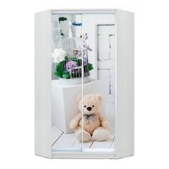 Шкаф-купе ХИТ-У-L-24-64-77 в Камышлове - kamyshlov.mebel24.online | фото