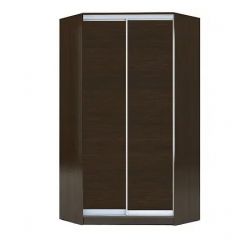 Шкаф-купе ХИТ-У-R-23-64-11 в Камышлове - kamyshlov.mebel24.online | фото