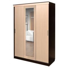 Шкаф-купе ПШ-1.3 М 1630 в Камышлове - kamyshlov.mebel24.online | фото
