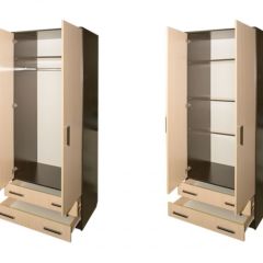 Шкаф распашной ПШ-3.8 в Камышлове - kamyshlov.mebel24.online | фото 2