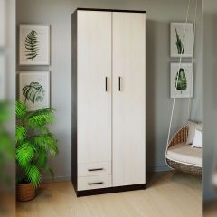 Шкаф распашной ПШ-3.9 в Камышлове - kamyshlov.mebel24.online | фото 3