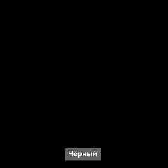 Шкаф угловой без зеркала "Ольга-Лофт 9.1" в Камышлове - kamyshlov.mebel24.online | фото 5