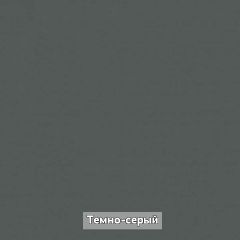 Шкаф угловой без зеркала "Ольга-Лофт 9.1" в Камышлове - kamyshlov.mebel24.online | фото 6