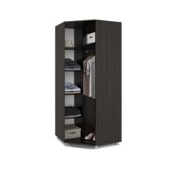 ВИОРА Шкаф угловой В59 в Камышлове - kamyshlov.mebel24.online | фото 4