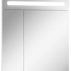 Шкаф-зеркало Аврора 65 с подсветкой LED Домино (DV8006HZ) в Камышлове - kamyshlov.mebel24.online | фото