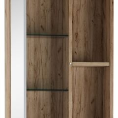 Шкаф-зеркало Craft 50 левый/правый Домино (DCr2212HZ) в Камышлове - kamyshlov.mebel24.online | фото 2