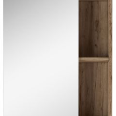 Шкаф-зеркало Craft 60 левый/правый Домино (DCr2203HZ) в Камышлове - kamyshlov.mebel24.online | фото 4
