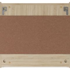 Шкаф-зеркало Мечта 60 Дуб сонома АЙСБЕРГ (DM2319HZ) в Камышлове - kamyshlov.mebel24.online | фото 4