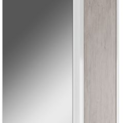 Шкаф-зеркало Uno 60 Дуб серый левый/правый Домино (DU1503HZ) в Камышлове - kamyshlov.mebel24.online | фото 1