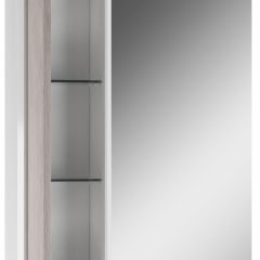Шкаф-зеркало Uno 60 Дуб серый левый/правый Домино (DU1503HZ) в Камышлове - kamyshlov.mebel24.online | фото 3