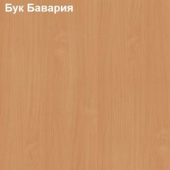 Стол письменный Логика Л-1.12 в Камышлове - kamyshlov.mebel24.online | фото