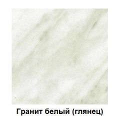 Столешница 1000*h38*600 в Камышлове - kamyshlov.mebel24.online | фото