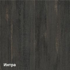 Трувор гостиная (модульная) в Камышлове - kamyshlov.mebel24.online | фото 3