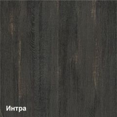 Трувор прихожая (модульная) в Камышлове - kamyshlov.mebel24.online | фото 2