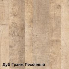 Трувор прихожая (модульная) в Камышлове - kamyshlov.mebel24.online | фото 3