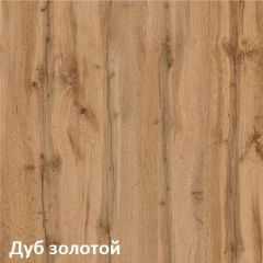 Вуди Шкаф для одежды 13.138 в Камышлове - kamyshlov.mebel24.online | фото 4