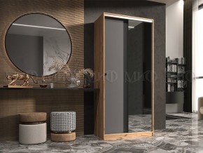 АЛЬЯНС Шкаф-купе 1,0 в Камышлове - kamyshlov.mebel24.online | фото