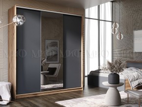 АЛЬЯНС Шкаф-купе 1,5 в Камышлове - kamyshlov.mebel24.online | фото