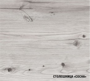 АСАЯ Кухонный гарнитур Экстра (3000 мм) в Камышлове - kamyshlov.mebel24.online | фото 8
