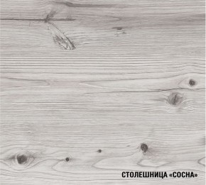 АСАЯ Кухонный гарнитур Гранд Прайм  (2200*2500 мм) в Камышлове - kamyshlov.mebel24.online | фото 8