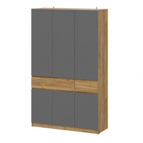 АВИНЬОН Прихожая Шкаф 3-х створчатый с ящиками в Камышлове - kamyshlov.mebel24.online | фото