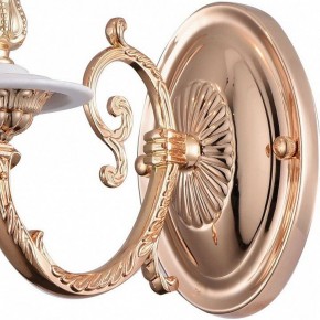 Бра Arte Lamp 8020 A8020AP-1WG в Камышлове - kamyshlov.mebel24.online | фото 4