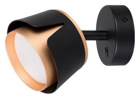 Бра Arte Lamp Amaks A8028AP-1BK в Камышлове - kamyshlov.mebel24.online | фото