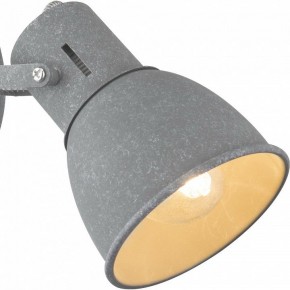 Бра Arte Lamp Jovi A1677AP-1GY в Камышлове - kamyshlov.mebel24.online | фото 2