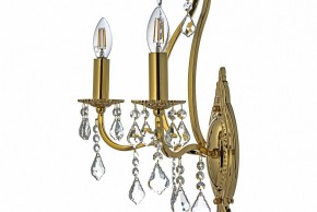 Бра Arti Lampadari Ercolano Ercolano E 2.1.2.602 G в Камышлове - kamyshlov.mebel24.online | фото 6