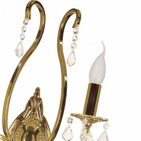 Бра Arti Lampadari Ercolano Ercolano E 2.1.2.602 G в Камышлове - kamyshlov.mebel24.online | фото 8